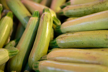 Green zucchini as background image