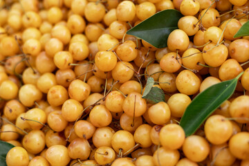 Many Sweet ripe yellow cherries as a background