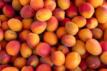  fresh apricots on a tray on a bazaar counter