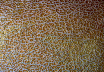 fragment of melon pattern as background for artists