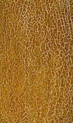 fragment of melon pattern as background for artists