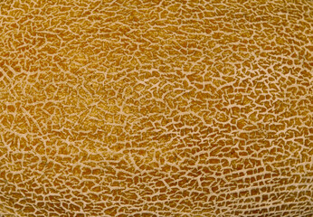 fragment of melon pattern as background for artists