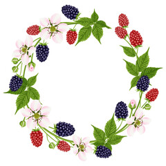 A wreath, a frame with a flower and a blackberry berry. Botanical invitation. A garden plant with pink flowers, green leaves and bright red and black berries. Vector illustration. © dinatychynska