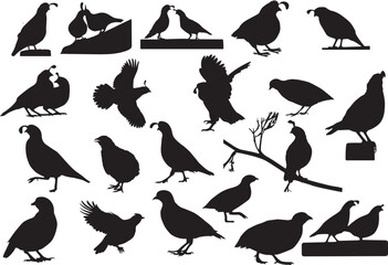 Print Quail EPS; Quail  Silhouette; Vector; Quail Bird Svg  Bundle; Flying Bird EPS; Wildlife Svg; 