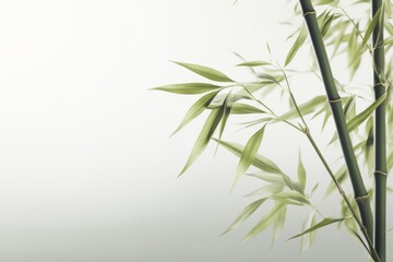 Fototapeta premium light yellow green bamboo