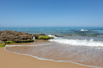 Sunny Beach with Rocks and Algae