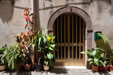 Plant-Adorned Entrance with Arched Doorway in Historic City