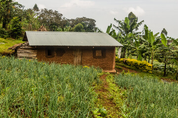 Rural house near Sipi village, Uganda