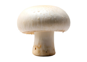 Fototapeta premium Top View of Fresh Mushrooms on Rustic Wooden Table – Perfect for Mushroom Dishes, Low-Calorie Recipes, and Organic Produce Ads-2