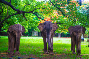 wooden elephant family.   © Sankarji-3RdEYE