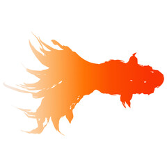 上から見た金魚が泳いでいるイラストのベクター画像