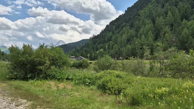 A view of Val Duron near Campitello di Fassa - Val di Fassa - Italy