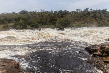 Victoria Nile river above Murchison Falls, Uganda