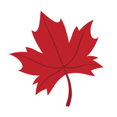 Illustration of autumn maple leaf is isolated on the white background