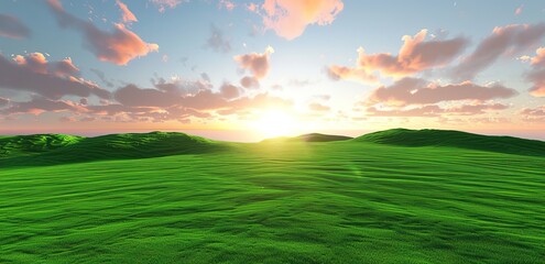 Fototapeta premium A wide, green lawn and blue clouds and sunlight