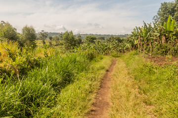 Obraz premium Hiking trail around Nyabikere lake near Fort Portal, Uganda