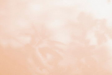 Light and shadow pink beige pastel abstract background. Natural leaves shadows and sunshine diagonal refraction on white wall texture. Shadow overlay effect foliage mockup, banner graphic layout