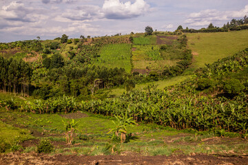 Lush rural landscape of the crater lakes region near Fort Portal, Uganda