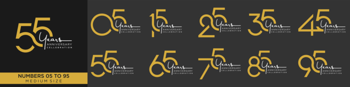 collection anniversary 15 to 95 year, creative number design vector illustration.