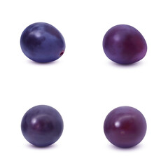 巨峰  イラスト リアル 葡萄