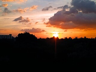 sunset over the Trees