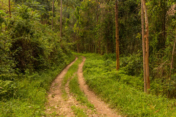 Rural road near Kilembe village, Uganda
