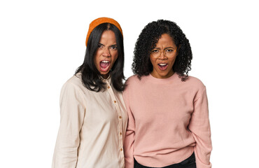 Young Latin friends together in studio shouting very angry, rage concept, frustrated.
