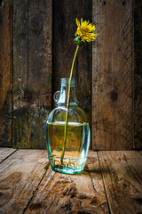 Lonely dandelion in a glass bottle on a wooden background.