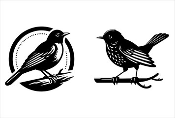 Bird on a branch vector illustration design.