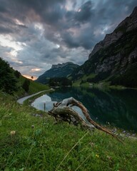 Seealpsee mit einer Wurzel im Vordergrund und leichtem Morgenrot