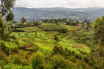 Fototapeta premium Lush landscape near Kabale, Uganda