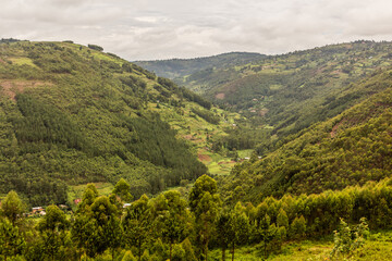 Obraz premium Lush landscape near Kabale, Uganda