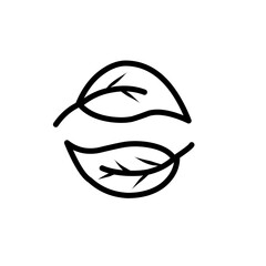 leaf simple line icon