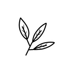 leaf simple line icon