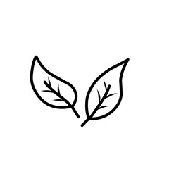 leaf simple line icon