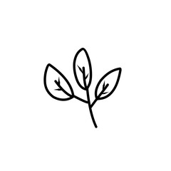 leaf simple line icon