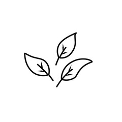 leaf simple line icon