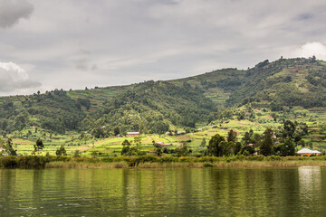 View of Bunyonyi lake coast, Uganda