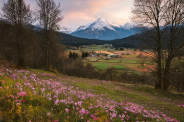 Obraz premium Spring alpine meadow with vibrant flowers, nestled amidst snow-capped mountains and a sprawling green forest under a clear blue sky