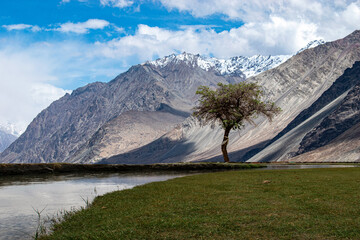 Nubra Vally in Ladakh, India the scenic view of leh ladahkh