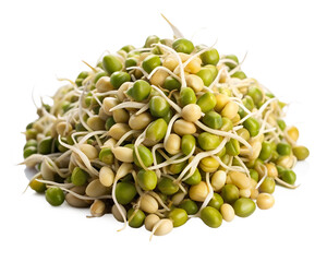 mung-bean-sprouts-white-background