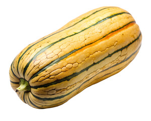 Delicata squash white background