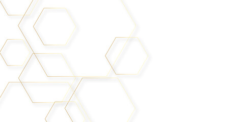 Abstract background with lines Vector abstract futuristic digital landscape with golden lines. Geometric hexagon in bright light with soft shadows as pattern. Abstract background. vector illustration.