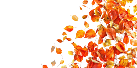transparent png image of autumn of orange leaves in corner with blank copy space