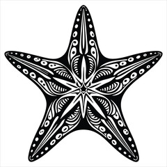 Starfish silhouette vector illustration on white background