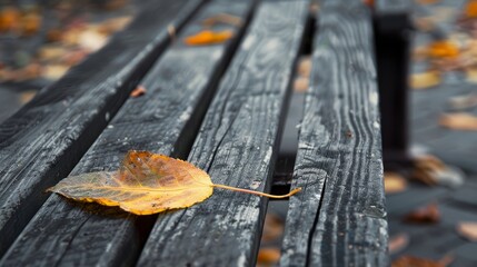Single yellow autumn leaf on wooden bench