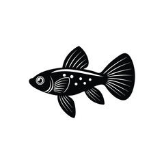 fish isolated on white fish, sea, water, animal, aquarium, vector, ocean, illustration, cartoon, fishing, nature, marine, underwater, tropical, goldfish, life, art, aquatic, wildlife, drawing, lake, f