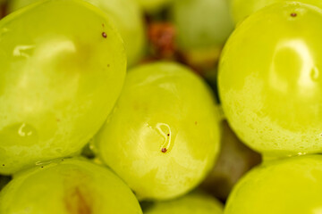 Sweet juicy green grapes, macro