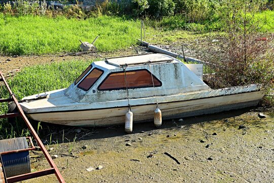 A small boat moored to a beeg on a swampy part of the lake