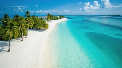 Fototapeta premium Tropical Paradise: A Pristine Beach in the Maldives